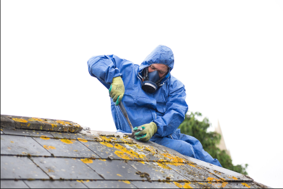 Effective Methods for Asbestos Removal in Perth